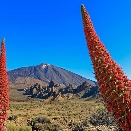 Piscinas Del Teide Apartamento Puerto de la Cruz (Tenerife)